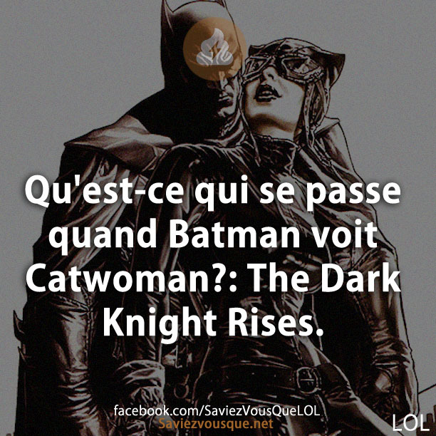 Qu&#039;est-ce qui se passe quand Batman voit Catwoman?: The Dark Knight Rises.