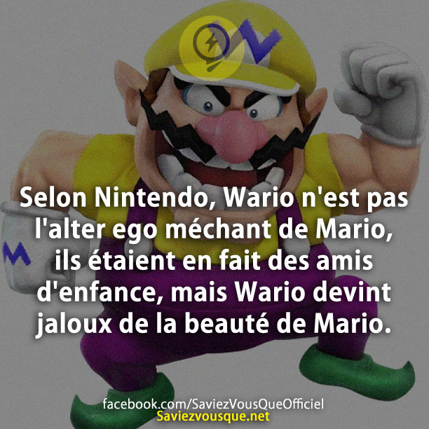 Selon Nintendo, Wario n&#039;est pas l&#039;alter ego méchant de Mario, ils étaient en fait des amis d&#039;enfance, mais Wario devint jaloux de la beauté de Mario.