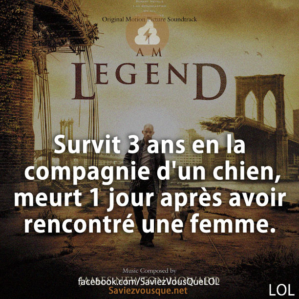 Survit 3 ans en la compagnie d&#039;un chien, meurt 1 jour après avoir rencontré une femme.