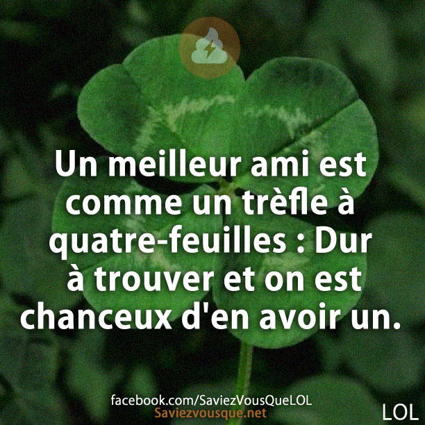 Un meilleur ami est comme un trèfle à quatre-feuilles : Dur à trouver et on est chanceux d&#039;en avoir un.