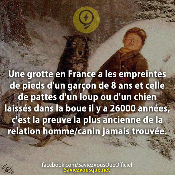 Une grotte en France a les empreintes de pieds d&#039;un garçon de 8 ans et celle de pattes d&#039;un loup ou d&#039;un chien laissés dans la boue il y a 26000 années, c&#039;est la preuve la plus ancienne de la relation homme/canin jamais trouvée.