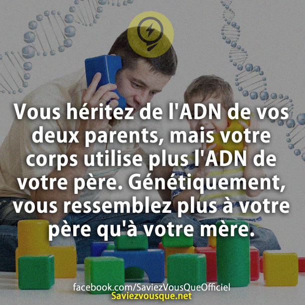 Vous héritez de l&#039;ADN de vos deux parents, mais votre corps utilise plus l&#039;ADN de votre père. Génétiquement, vous ressemblez plus à votre père qu&#039;à votre mère.