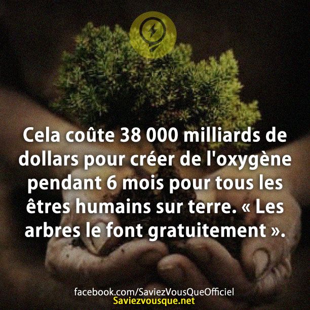 Cela coûte 38 000 milliards de dollars pour créer de l&#039;oxygène pendant 6 mois pour tous les êtres humains sur terre. &quot;Les arbres le font gratuitement ».