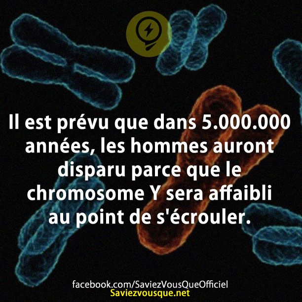 Il est prévu que dans 5.000.000 années, les hommes auront disparu parce que le chromosome Y sera affaibli au point de s&#039;écrouler.