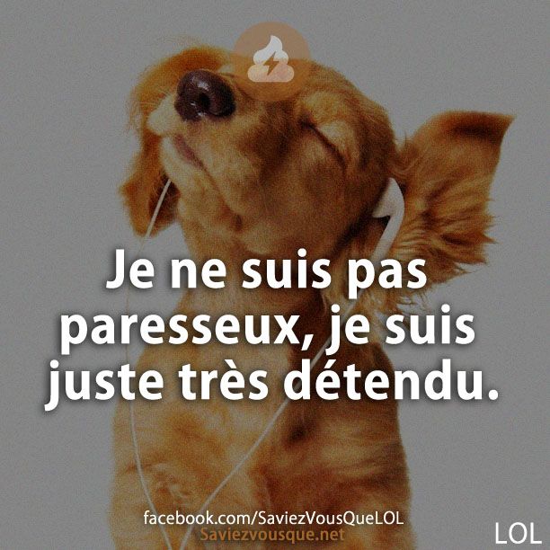 Je ne suis pas paresseux, je suis juste très détendu.