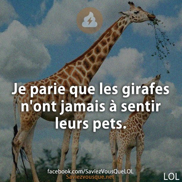 Je parie que les girafes n&#039;ont jamais à sentir leurs pets.