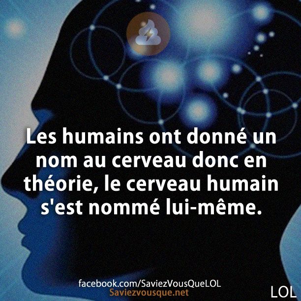 Les humains ont donné un nom au cerveau donc en théorie, le cerveau humain s&#039;est nommé lui-même.