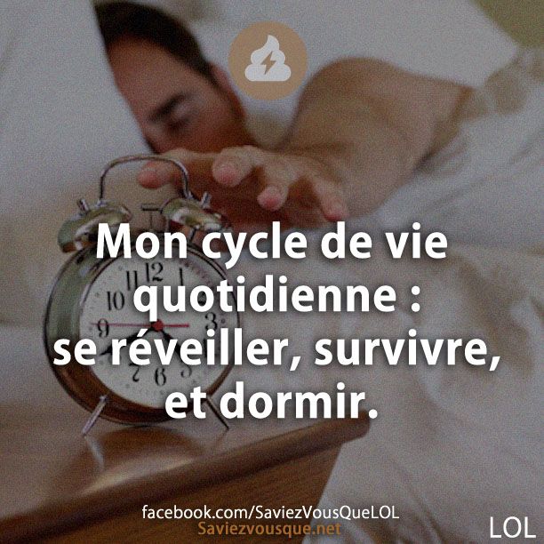Mon cycle de vie quotidienne : se réveiller, survivre, et dormir.