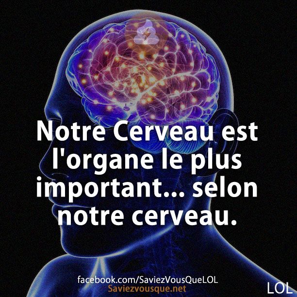 Notre Cerveau est l&#039;organe le plus important... selon notre cerveau.