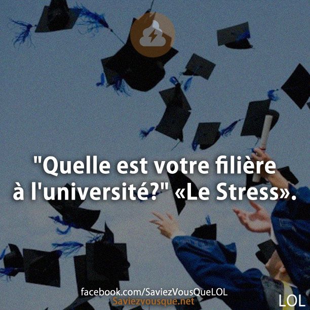 &quot;Quelle est votre filière à l&#039;université?&quot; «Le Stress».