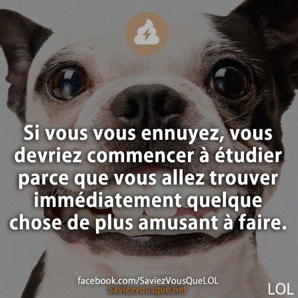 Si vous vous ennuyez, vous devriez commencer à étudier parce que vous allez trouver immédiatement quelque chose de plus amusant à faire.