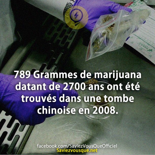 789 Grammes de marijuana datant de 2700 ans ont été trouvés dans une tombe chinoise en 2008.