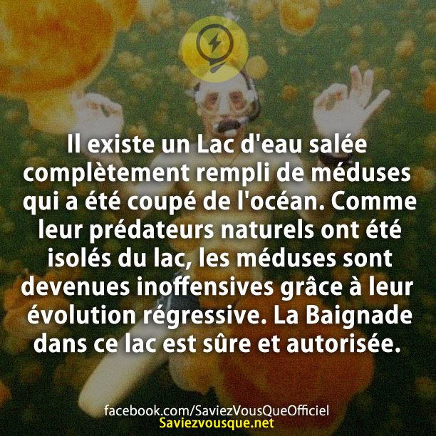 Il existe un Lac d&#039;eau salée complètement rempli de méduses qui a été coupé de l&#039;océan. Comme leur prédateurs naturels ont été isolés du lac, les méduses sont devenues inoffensives grâce à leur évolution régressive. La Baignade dans ce lac est sûre et autorisée.