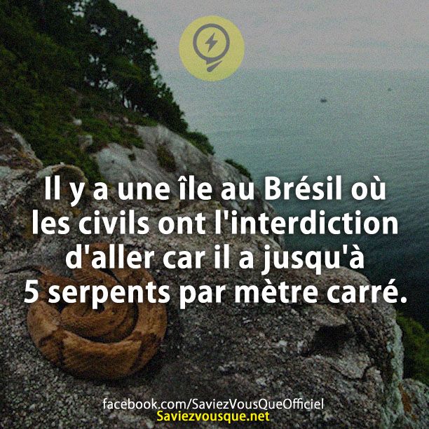 Il y a une île au Brésil où les civils ont l&#039;interdiction d&#039;aller car il a jusqu&#039;à 5 serpents par mètre carré.