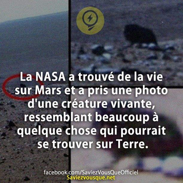 La NASA a trouvé de la vie sur Mars et a pris une photo d&#039;une créature vivante, ressemblant beaucoup à quelque chose qui pourrait se trouver sur Terre.