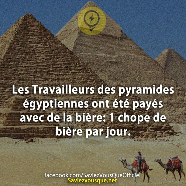 Les Travailleurs des pyramides égyptiennes ont été payés avec de la bière: 1 chope de bière par jour.