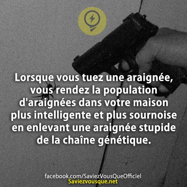 Lorsque vous tuez une araignée, vous rendez la population d&#039;araignées dans votre maison plus intelligente et plus sournoise en enlevant une araignée stupide de la chaîne génétique.