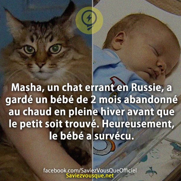 Masha, un chat errant en Russie, a gardé un bébé de 2 mois abandonné au chaud en pleine hiver avant que le petit soit trouvé. Heureusement, le bébé a survécu.
