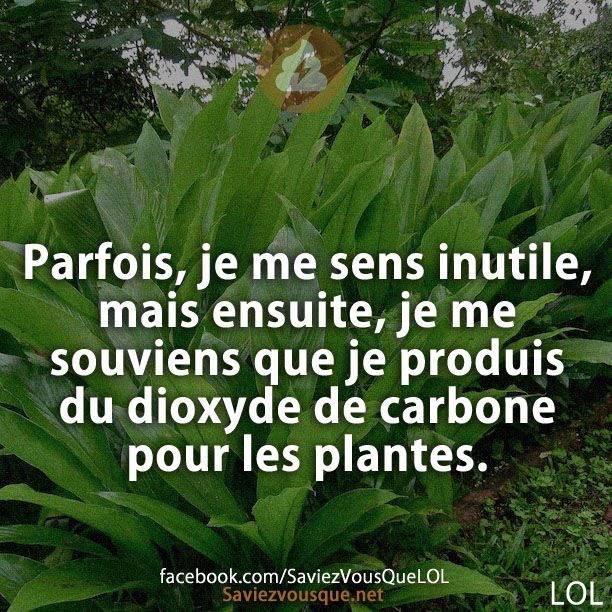 Parfois, je me sens inutile, mais ensuite, je me souviens que je produis du dioxyde de carbone pour les plantes.