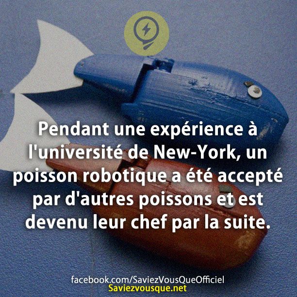 Pendant une expérience à l&#039;université de New-York, un poisson robotique a été accepté par d&#039;autres poissons et est devenu leur chef par la suite.