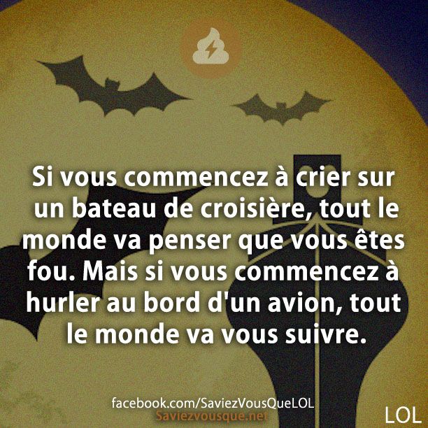 Si vous commencez à crier sur un bateau de croisière, tout le monde va penser que vous êtes fou. Mais si vous commencez à hurler au bord d'un avion, tout le monde va vous suivre.
