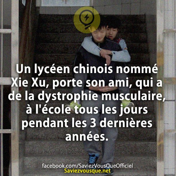 Un lycéen chinois nommé Xie Xu, porte son ami, qui a de la dystrophie musculaire, à l&#039;école tous les jours pendant les 3 dernières années.
