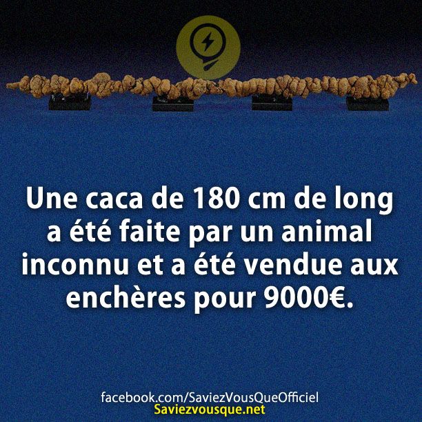 Une caca de 180 cm de long a été faite par un animal inconnu et a été vendue aux enchères pour 9000€.