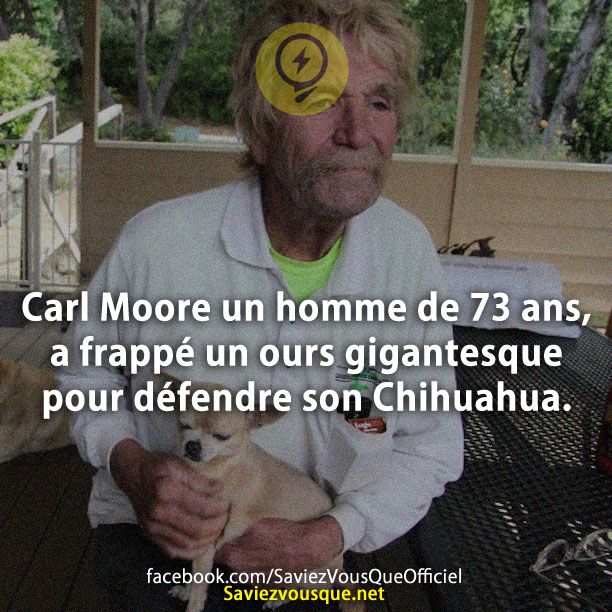 Carl Moore un homme de 73 ans, a frappé un ours gigantesque pour défendre son Chihuahua.