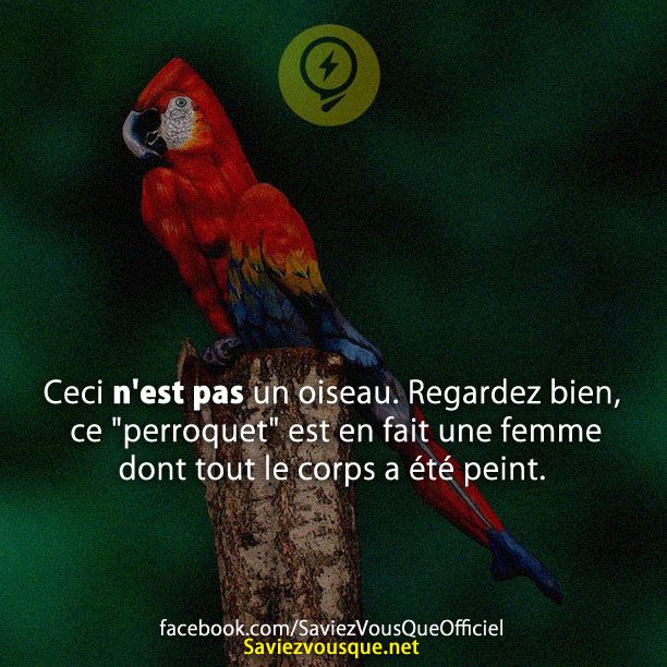 Ceci n&#039;est pas un oiseau. Regardez bien, ce &quot;perroquet&quot; est en fait une femme dont tout le corps a été peint.