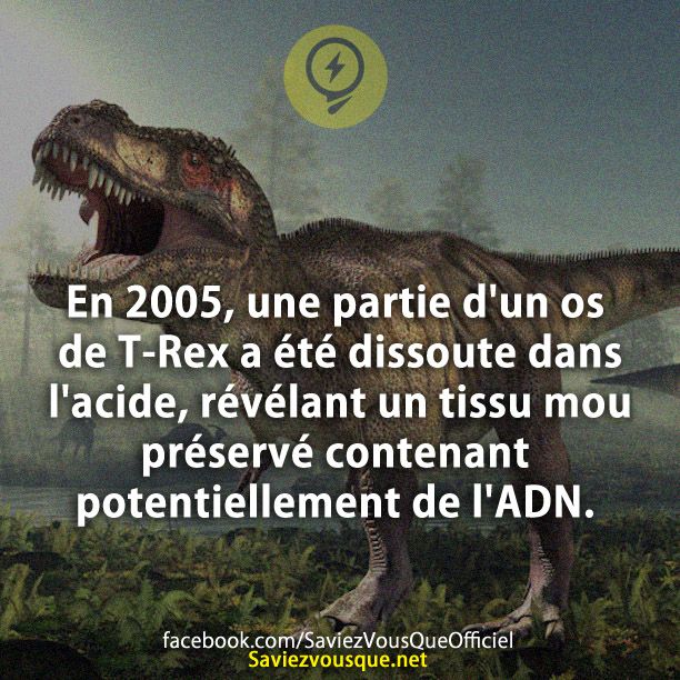 En 2005, une partie d&#039;un os de T-Rex a été dissoute dans l&#039;acide, révélant un tissu mou préservé contenant potentiellement de l&#039;ADN.
