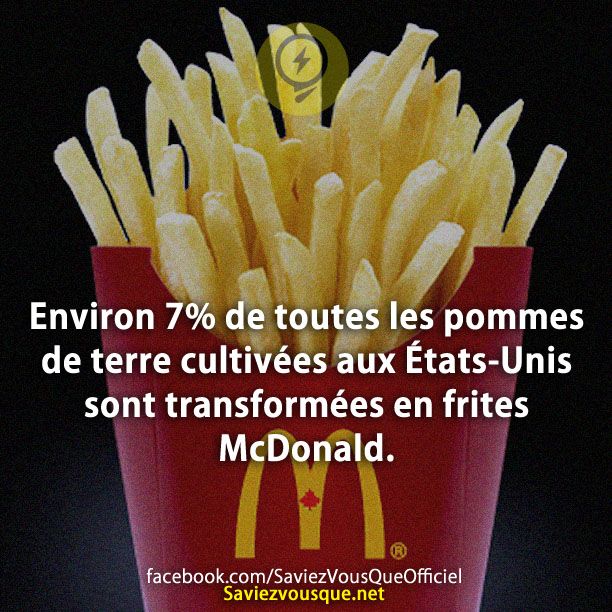 Environ 7% de toutes les pommes de terre cultivées aux États-Unis sont transformées en frites McDonald.