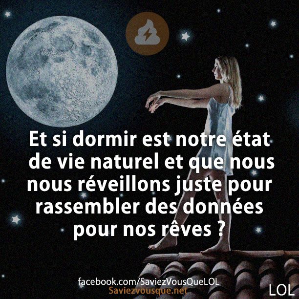 Et si dormir est notre état de vie naturel et que nous nous réveillons juste pour rassembler des données pour nos rêves ?