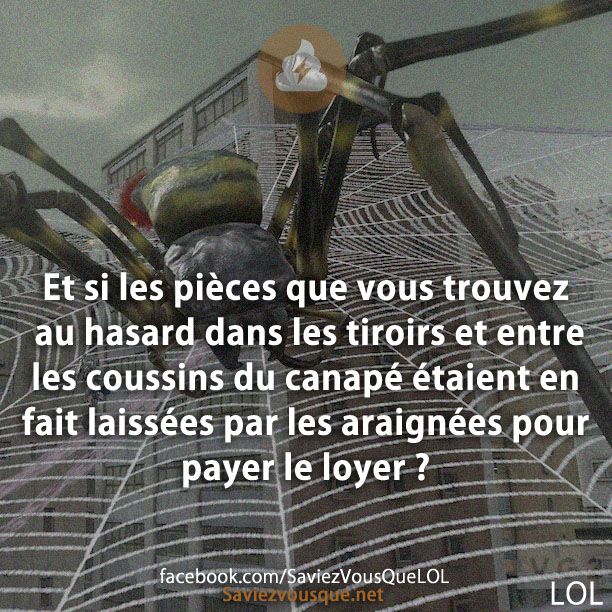 Et si les pièces que vous trouvez au hasard dans les tiroirs et entre les coussins du canapé étaient en fait laissées par les araignées pour payer le loyer ?