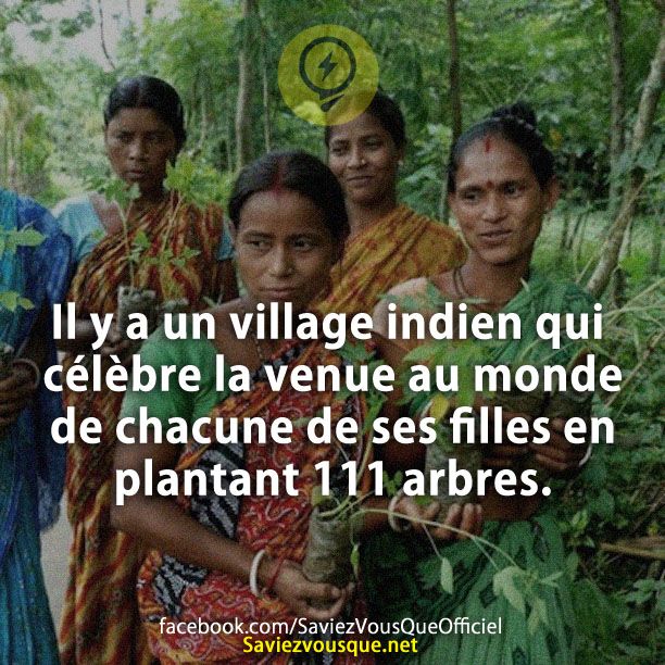 Il y a un village indien qui célèbre la venue au monde de chacune de ses filles en plantant 111 arbres.