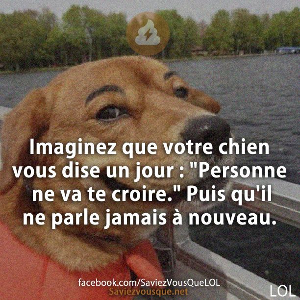 Imaginez que votre chien vous dise un jour : &quot;Personne ne va te croire.&quot; Puis qu&#039;il ne parle jamais à nouveau.