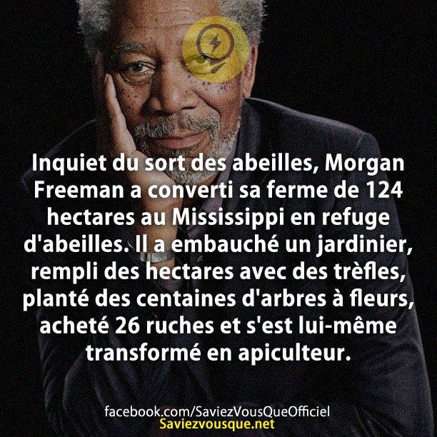 Inquiet du sort des abeilles, Morgan Freeman a converti sa ferme de 124 hectares au Mississippi en refuge d&#039;abeilles. Il a embauché un jardinier, rempli des hectares avec des trèfles, planté des centaines d&#039;arbres à fleurs, acheté 26 ruches et s&#039;est lui-même transformé en apiculteur.