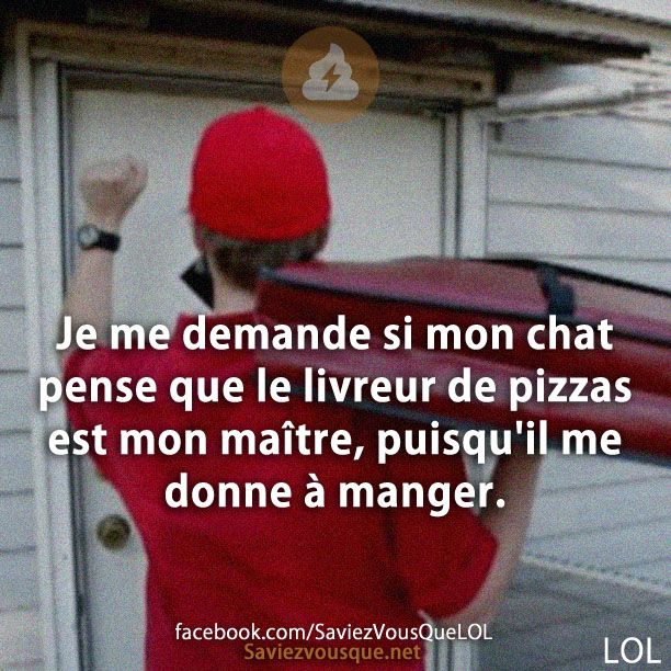 Je me demande si mon chat pense que le livreur de pizzas est mon maître, puisqu&#039;il me donne à manger.