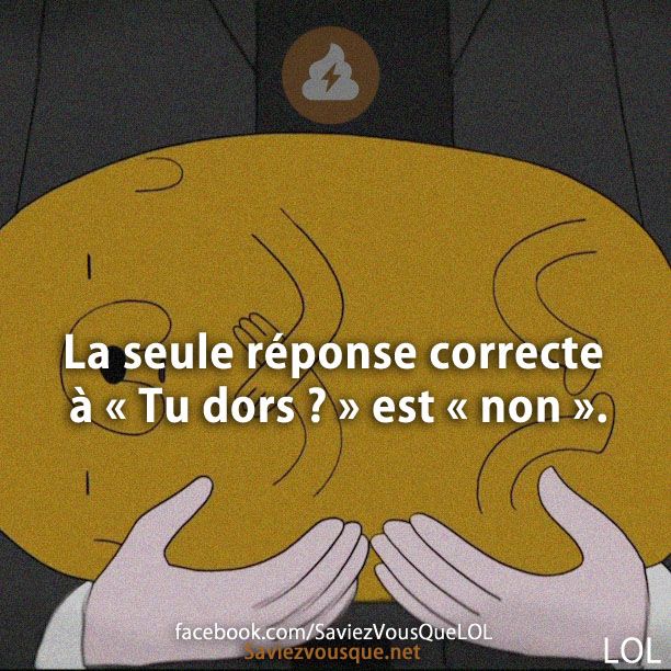 La seule réponse correcte à « Tu dors ? » est « non ».