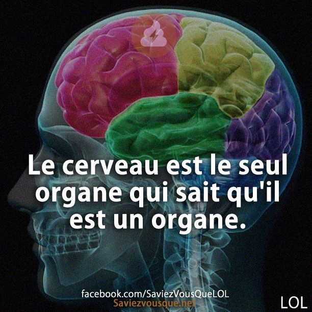 Le cerveau est le seul organe qui sait qu&#039;il est un organe.