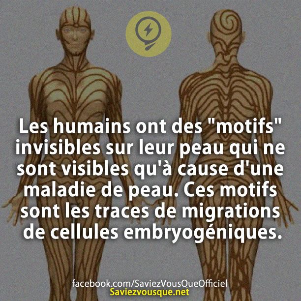 Les humains ont des &quot;motifs&quot; invisibles sur leur peau qui ne sont visibles qu&#039;à cause d&#039;une maladie de peau. Ces motifs sont les traces de migrations de cellules embryogéniques.