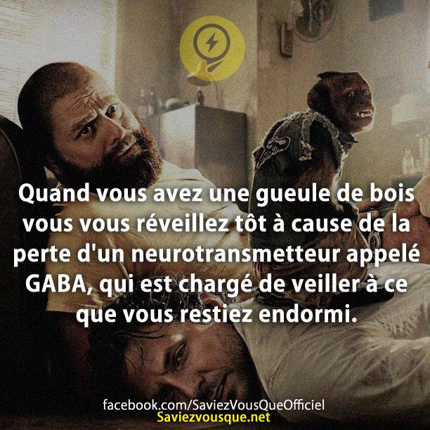 Quand vous avez une gueule de bois vous vous réveillez tôt à cause de la perte d&#039;un neurotransmetteur appelé GABA, qui est chargé de veiller à ce que vous restiez endormi.