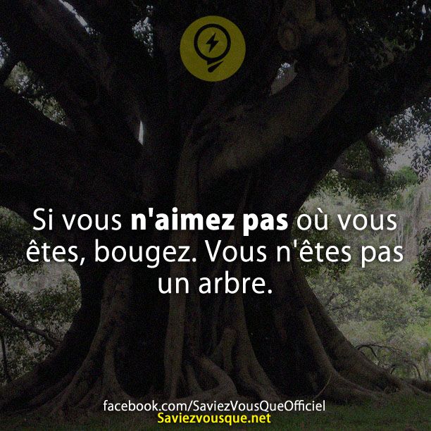 Si vous n&#039;aimez pas où vous êtes, bougez. Vous n&#039;êtes pas un arbre.