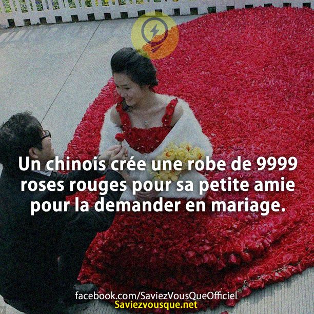 Un chinois crée une robe de 9999 roses rouges pour sa petite amie pour la demander en mariage.