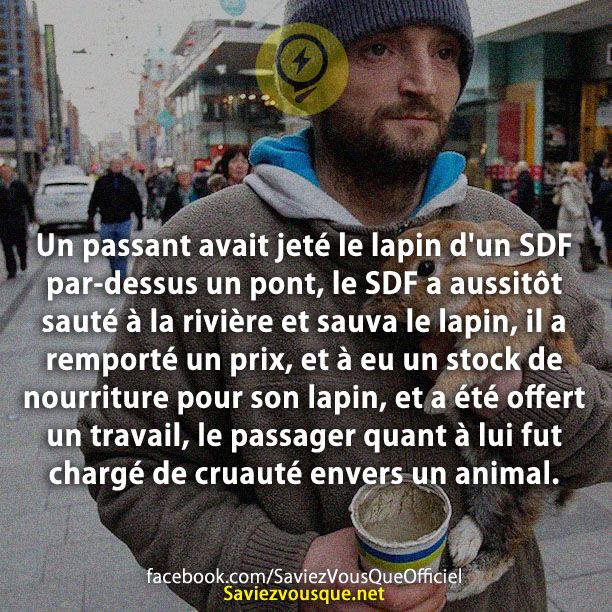 Un passant avait jeté le lapin d&#039;un SDF par-dessus un pont, le SDF a aussitôt sauté à la rivière et sauva le lapin, il a remporté un prix, et à eu un stock de nourriture pour son lapin, et a été offert un travail, le passager quant à lui fut chargé de cruauté envers un animal.