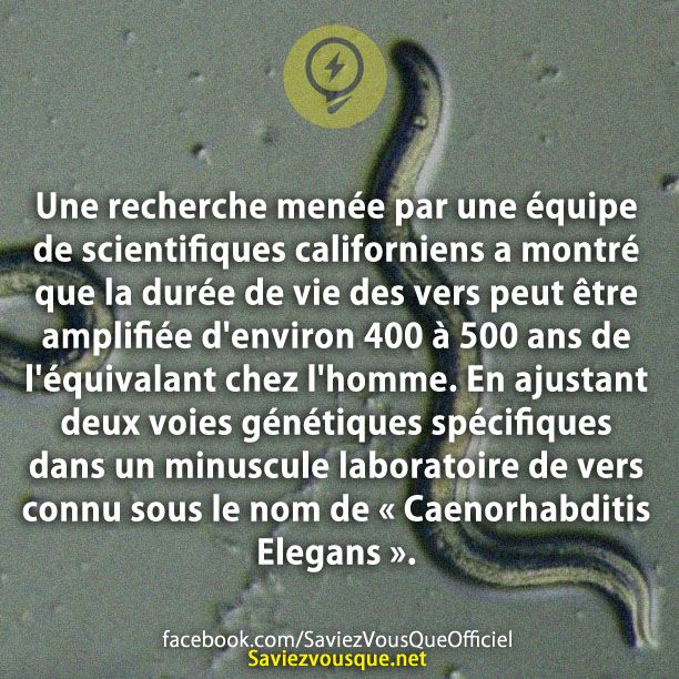 Une recherche menée par une équipe de scientifiques californiens a montré que la durée de vie des vers peut être amplifiée d&#039;environ 400 à 500 ans de l&#039;équivalant chez l&#039;homme. En ajustant deux voies génétiques spécifiques dans un minuscule laboratoire de vers connu sous le nom de « Caenorhabditis Elegans ».