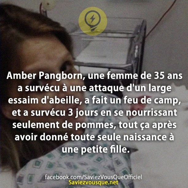 Amber Pangborn, une femme de 35 ans a survécu à une attaque d&#039;un large essaim d&#039;abeille, a fait un feu de camp, et a survécu 3 jours en se nourrissant seulement de pommes, tout ça après avoir donné toute seule naissance à une petite fille.