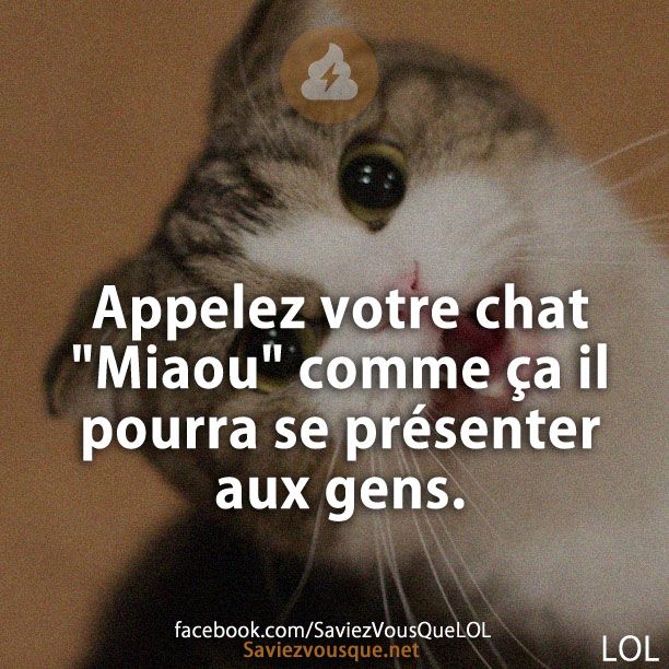 Appelez votre chat "Miaou" comme ça il pourra se présenter aux gens.