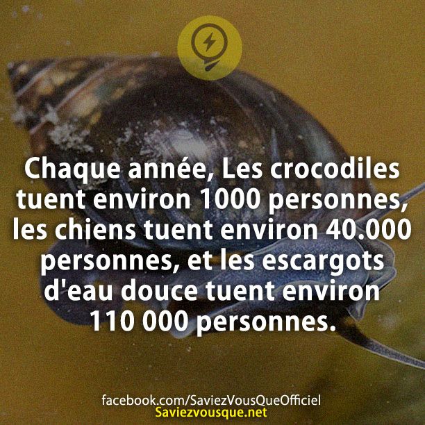 Chaque année, Les crocodiles tuent environ 1000 personnes, les chiens tuent environ 40.000 personnes, et les escargots d&#039;eau douce tuent environ 110 000 personnes.