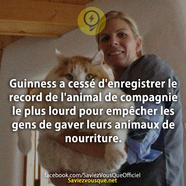 Guinness a cessé d&#039;enregistrer le record de l&#039;animal de compagnie le plus lourd pour empêcher les gens de gaver leurs animaux de nourriture.