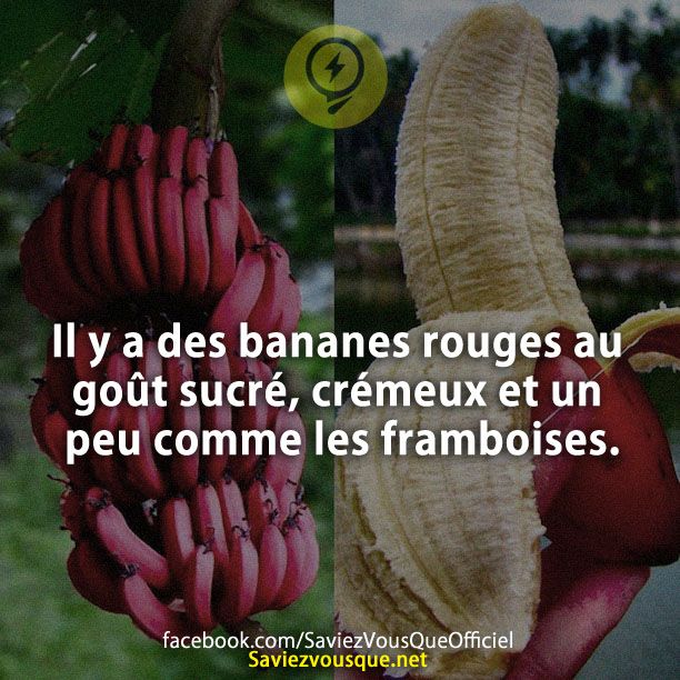 Il y a des bananes rouges au goût sucré, crémeux et un peu comme les framboises.